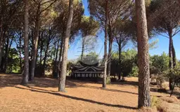 terrain à Le Plan-de-la-Tour (83120)